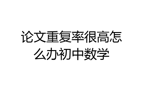 论文重复率很高怎么办初中数学
