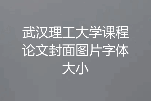 武汉理工大学课程论文封面图片字体大小