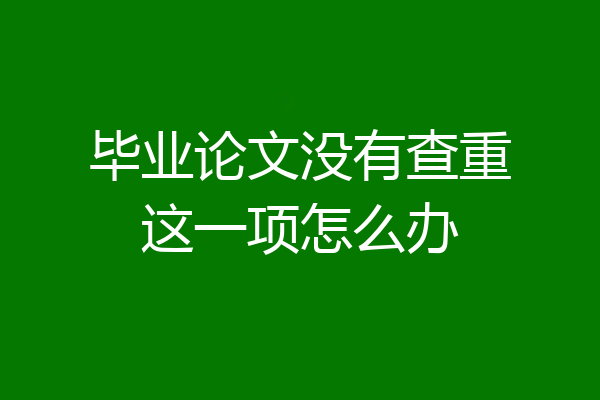 毕业论文没有查重这一项怎么办