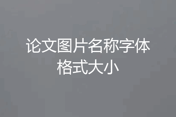 论文图片名称字体格式大小