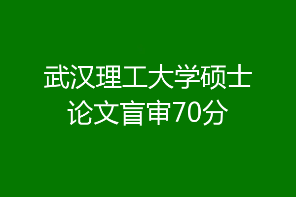 武汉理工大学硕士论文盲审70分