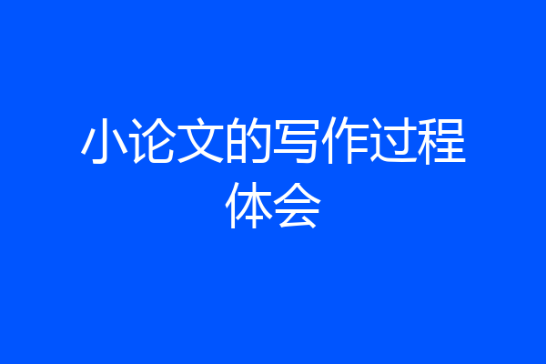 小论文的写作过程体会