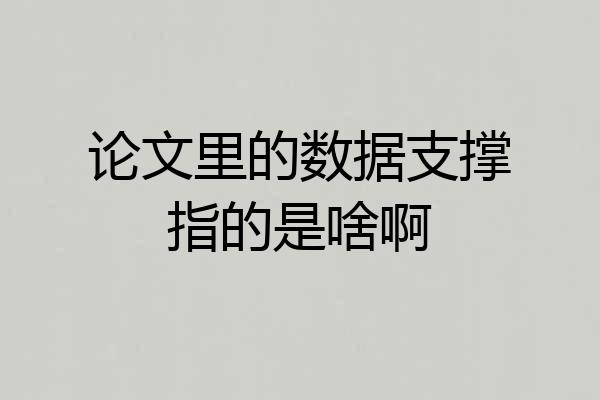 论文里的数据支撑指的是啥啊