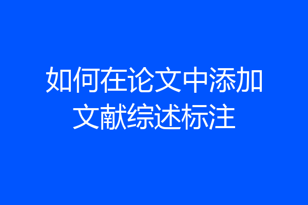 如何在论文中添加文献综述标注