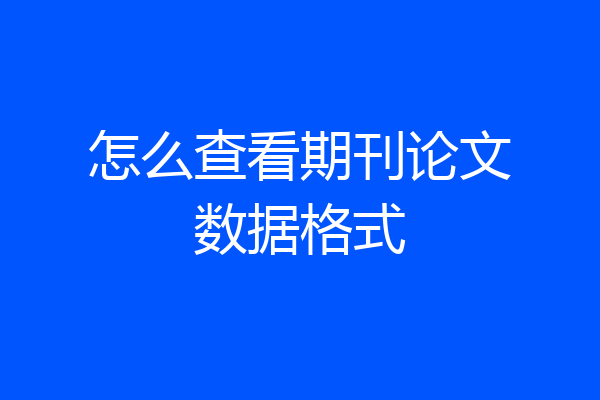 怎么查看期刊论文数据格式