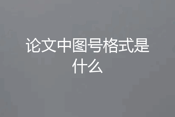 论文中图号格式是什么