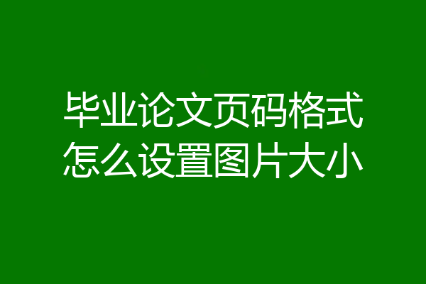 毕业论文页码格式怎么设置图片大小