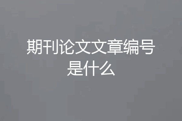 期刊论文文章编号是什么