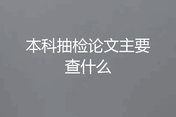 本科抽检论文主要查什么