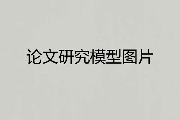 论文研究模型图片