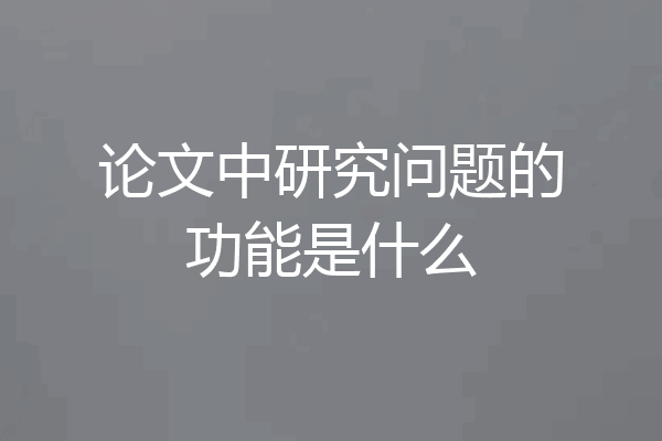 论文中研究问题的功能是什么