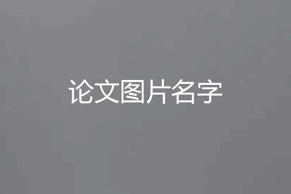 论文图片名字