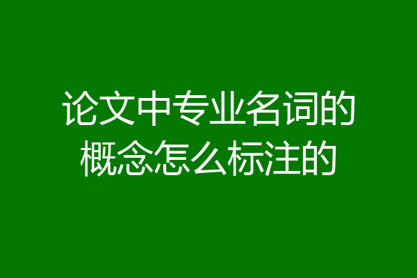 论文中专业名词的概念怎么标注的