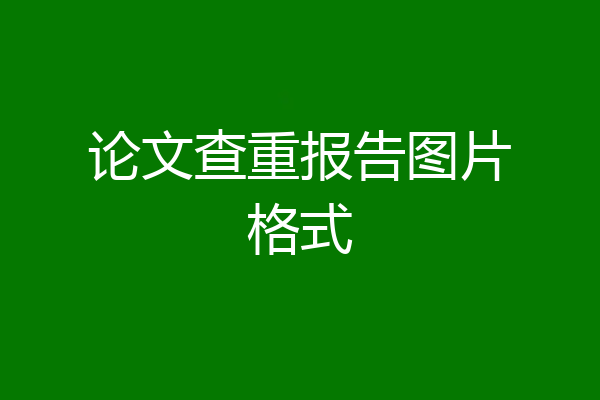 论文查重报告图片格式