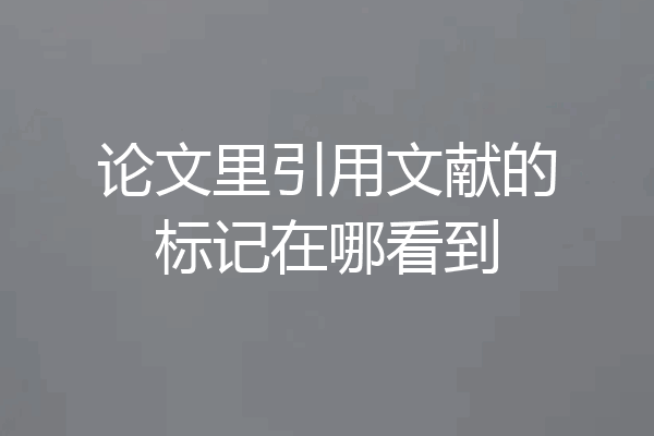 论文里引用文献的标记在哪看到