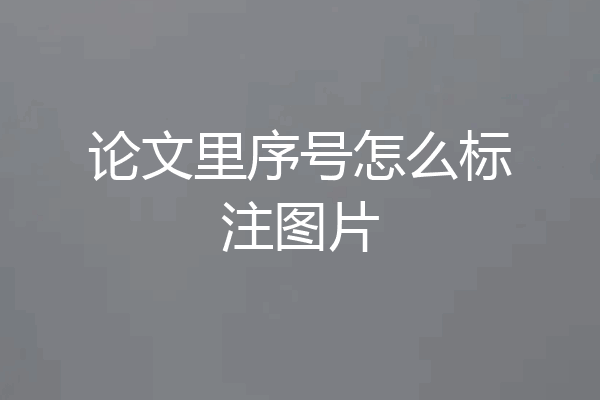 论文里序号怎么标注图片