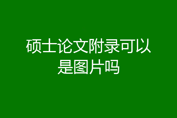 硕士论文附录可以是图片吗