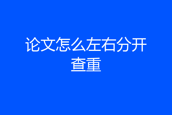 论文怎么左右分开查重