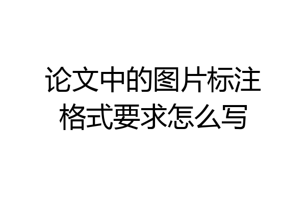 论文中的图片标注格式要求怎么写