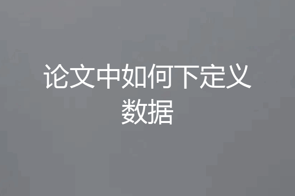 论文中如何下定义数据