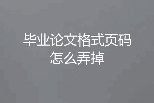 毕业论文格式页码怎么弄掉