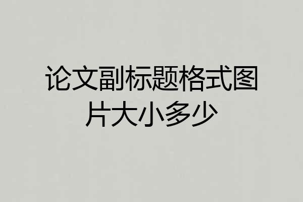 论文副标题格式图片大小多少