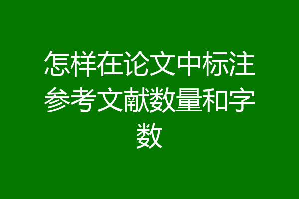 怎样在论文中标注参考文献数量和字数