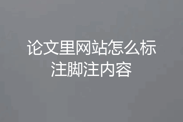 论文里网站怎么标注脚注内容