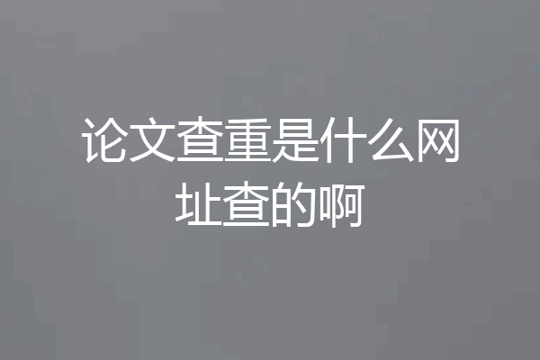论文查重是什么网址查的啊