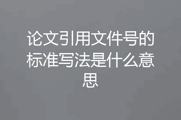 论文引用文件号的标准写法是什么意思