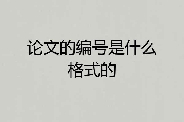 论文的编号是什么格式的