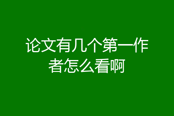 论文有几个第一作者怎么看啊