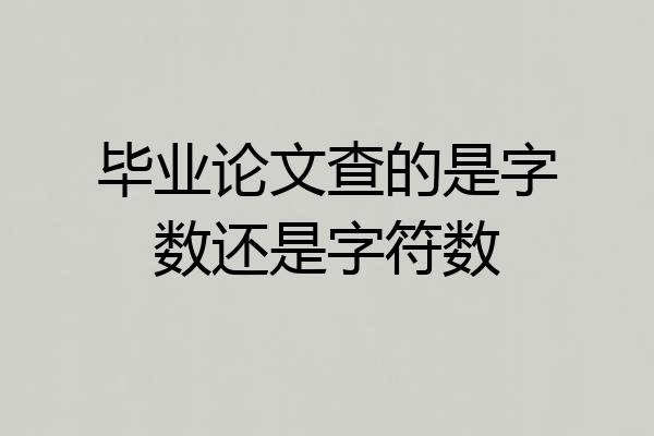 毕业论文查的是字数还是字符数