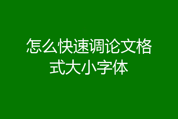 怎么快速调论文格式大小字体