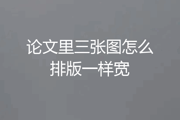 论文里三张图怎么排版一样宽