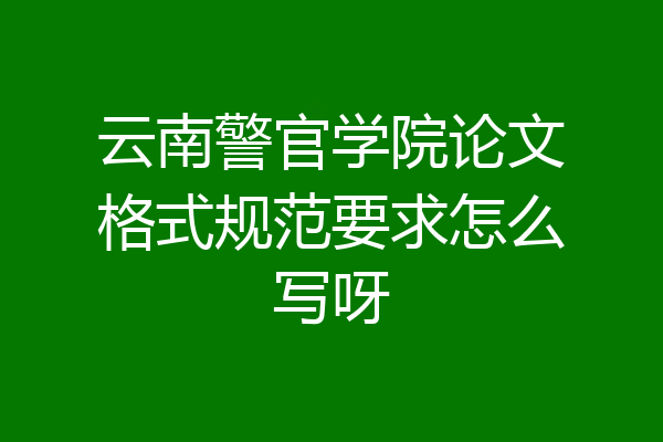 云南警官学院论文格式规范要求怎么写呀