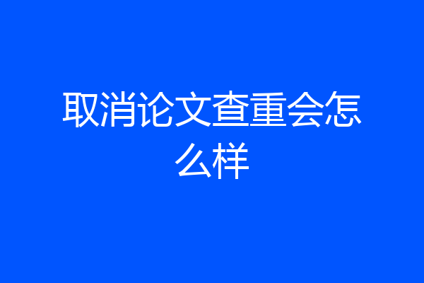 取消论文查重会怎么样