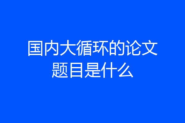 国内大循环的论文题目是什么