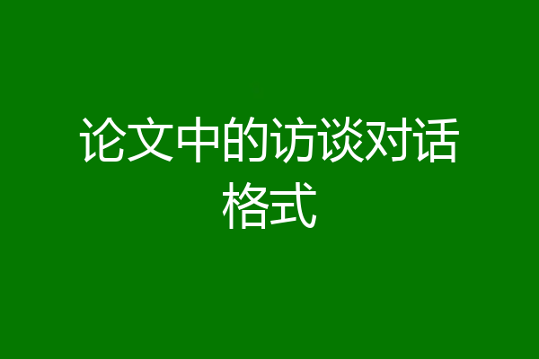 论文中的访谈对话格式