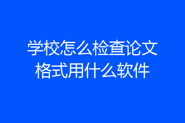 学校怎么检查论文格式用什么软件