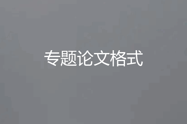 专题论文格式