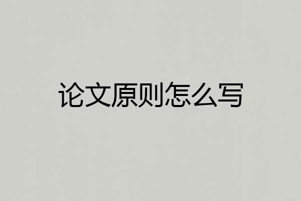 论文原则怎么写