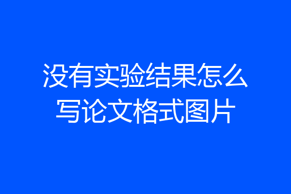 没有实验结果怎么写论文格式图片