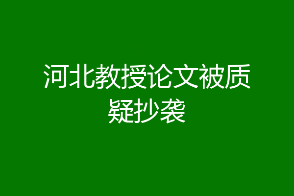 河北教授论文被质疑抄袭
