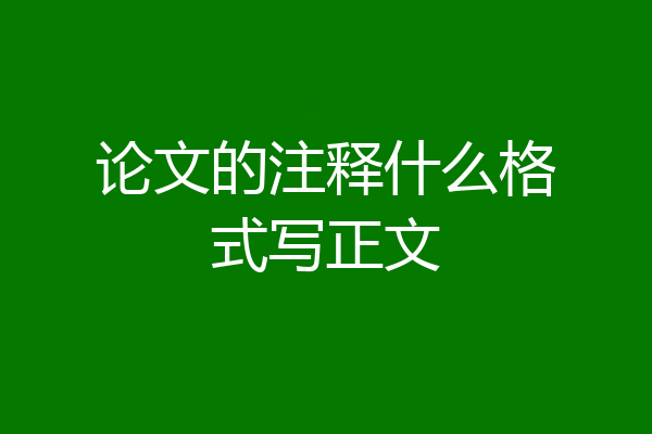 论文的注释什么格式写正文