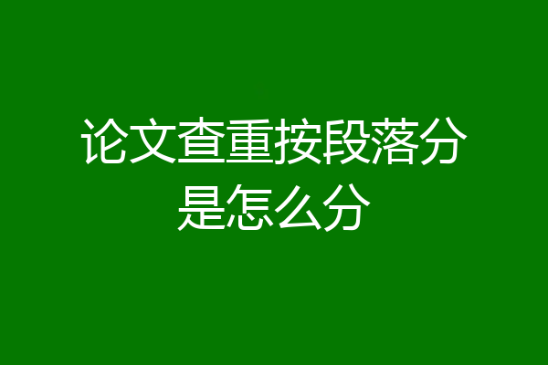 论文查重按段落分是怎么分