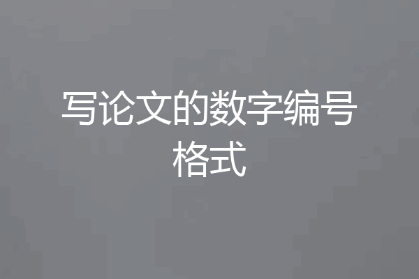 写论文的数字编号格式