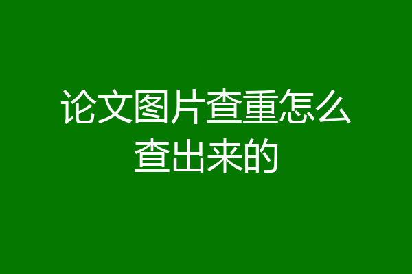 论文图片查重怎么查出来的