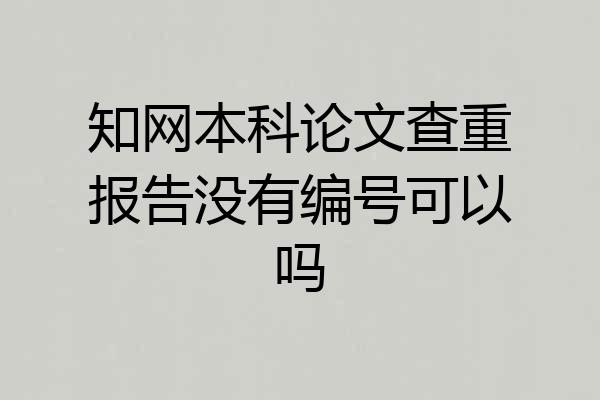 知网本科论文查重报告没有编号可以吗