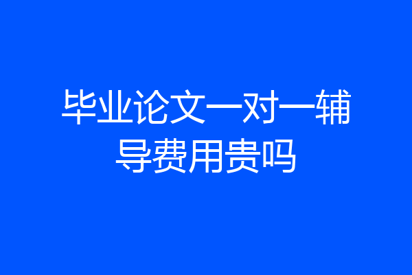 毕业论文一对一辅导费用贵吗